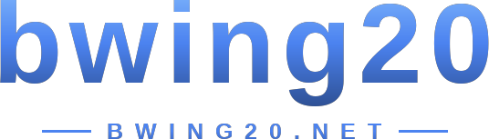 bwing20 logo